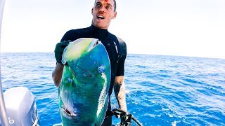 YBS Lifestyle Ep 27 - BEST DAY SPEARFISHING ON THE BOAT | Amazing Turtle Encounter | Catch And Cook