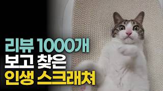 이 영상보기 전 고양이 스크래쳐 사지마세요 ! l 후회없는 인생 스크래쳐 추천