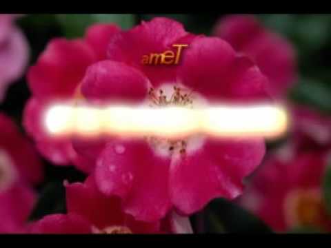 Si ta forcojm Imanin - Rexhep Memishi