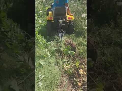 MINI TRACTOR BMC 184 with a single plow