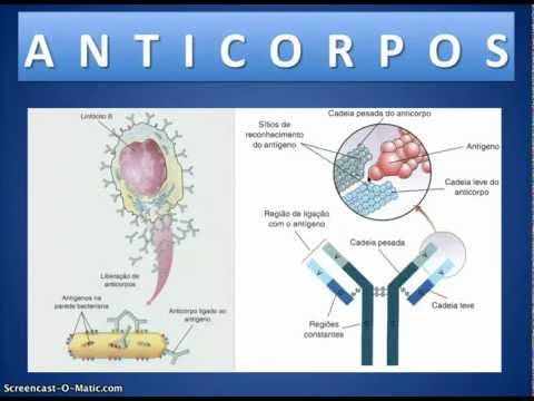 VIDEO AULA - ANTIGENO E ANTICORPO