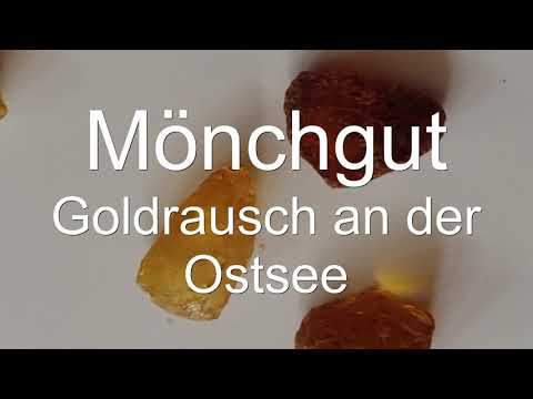 2021 04 04 Mönchgut Goldrausch an der Ostsee