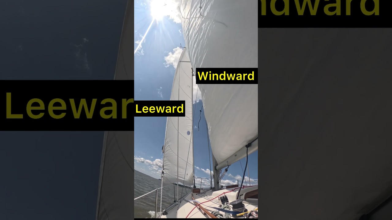 How to read telltales #sailboating #boatlife #sailboat #sailtrim #sailing tips