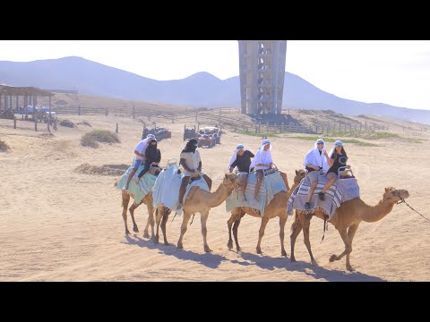 Cabo San Lucas, Camelback riding cactus tours ￼