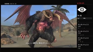 ［DDON］ネルソン、にわとりでまったり配信！コメント待ってます！