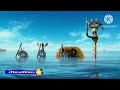 Snorkeling Scene Madagascar 3 2012 Madagascar Mondays DWKids TtFM