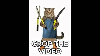 Download lagu ITS IMPOSSIBLE πππ #shorts #funny #viral mp3 Download lagu ITS IMPOSSIBLE πππ #shorts #funny #viral mp3
