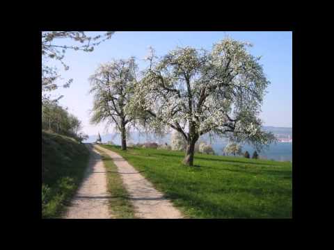 Impressionen rund um die Ferienwohnung Konstanz und den Bodensee