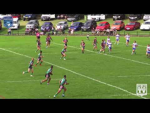 2018 Newcastle RL - Open Grade - Round 1 Highlights - Western Suburbs v Charlestown