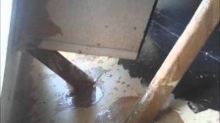 Sub box for 2 15s Kicker Cvx