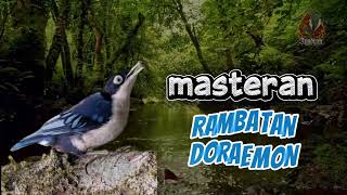 Download lagu MASTERAN RAMBATAN DORAEMON GACOR DENGAN JEDA SUARA AIR  mp3