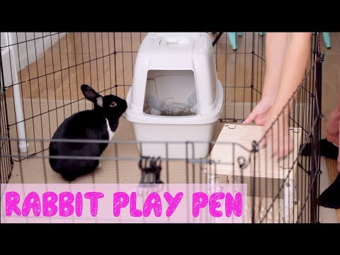 How To Set Up A Rabbit Play Pen