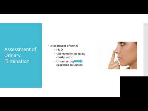 Elimination lecture  instructor Use this onerecording