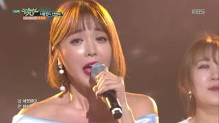 뮤직뱅크 Music Bank - 홍진영 - 사랑한다 안한다 (HONG JIN YOUNG - Loves me, Loves me not).20170303