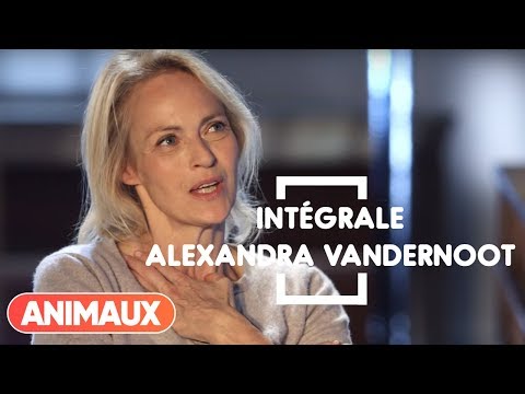 Alexandra Vandernoot dans Animaux Stars (intégrale) - Animaux