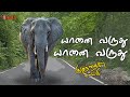 Yanai varuthu animation song | Bujji TV Tamil rhymes for kids| யானை வருது தமிழ் பாடல