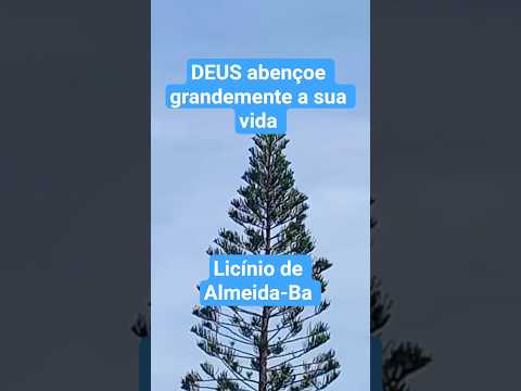 #cidade#licinio#de#almeida#bahia#