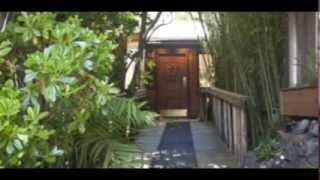 Look In My Blood   Neil Finn