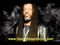 Lloyd Brown - Mr Brown - Chi Chi Bud Riddim