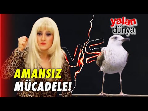 Zerrin'in Martı İle Mücadelesi! - Yalan Dünya Özel Klip