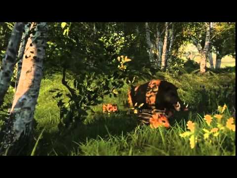 Wild Playstation 4