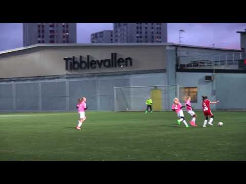 Viggan HSK - Fortuna 5