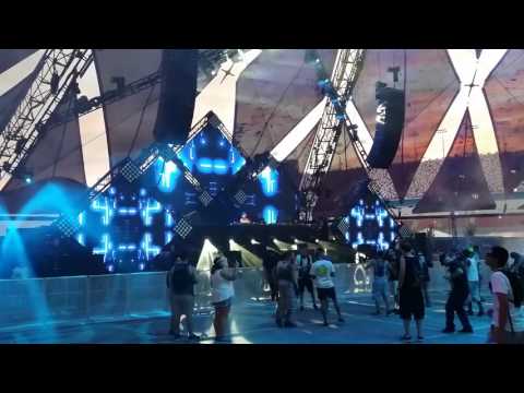 Julia Govor in the Neon Garden