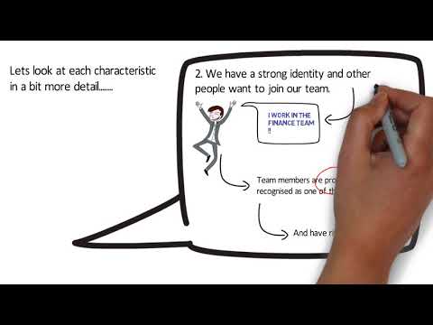 Characteristics of a High Performing Team