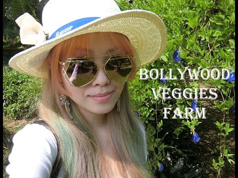 download lagu mp3 mp4 Bollywood Veggies Visit, download lagu Bollywood Veggies Visit gratis, unduh video klip Bollywood Veggies Visit