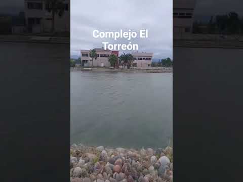 Hermoso lago en Maipú, Mendoza   #avistajedeaves #regatas #paddle  @maipumunicipio4908 @domingo