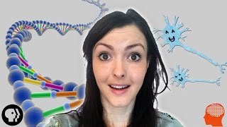 4 Lesser-Known Scientific Discoveries! (And the people behind them)