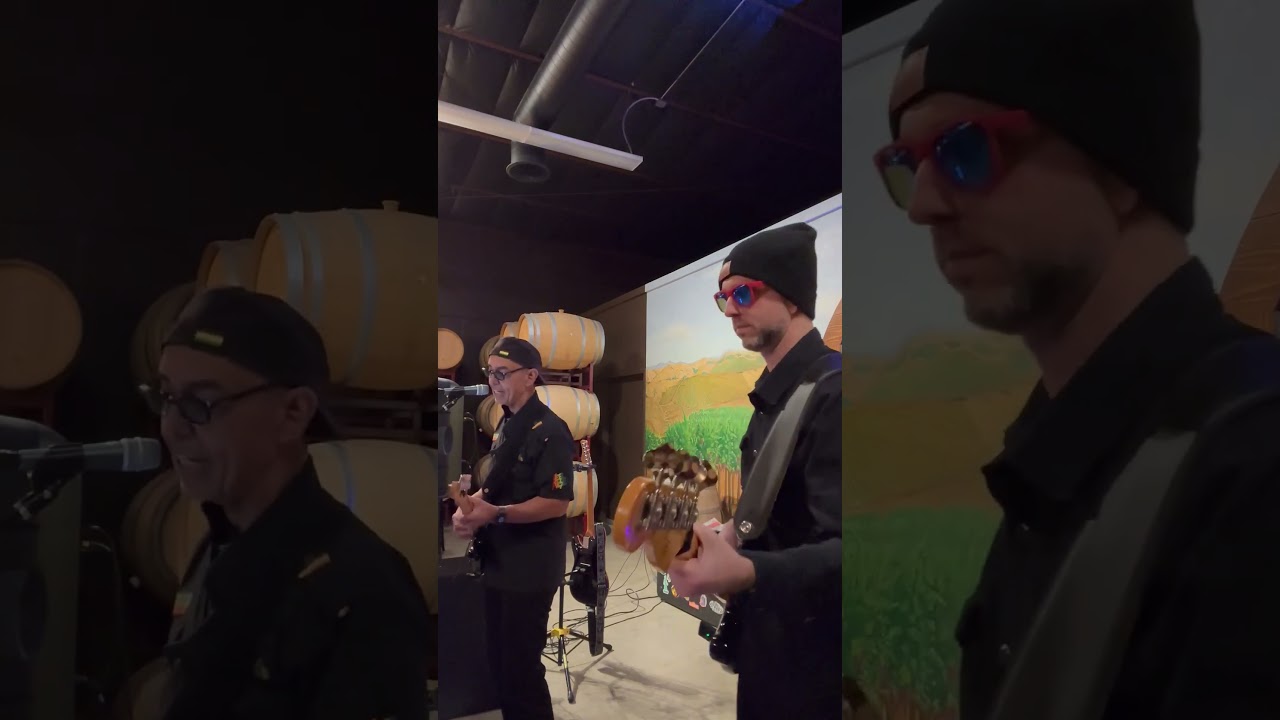 Promotional video thumbnail 3 for Red Red Wine Band