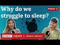 How To Get Your Best Night S Sleep What In The World Podcast BBC World Service