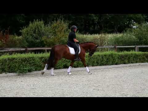 4j Wallach von Don Darius