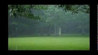 Shel Silverstein - Cloudy Sky (Lady Moon)