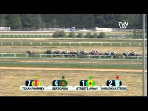 2012 Ballarat Cup - King Diamond