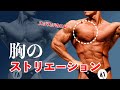 日本トップレベルの大胸筋のストリエーションの作り方を大公開!【嶋田慶太】