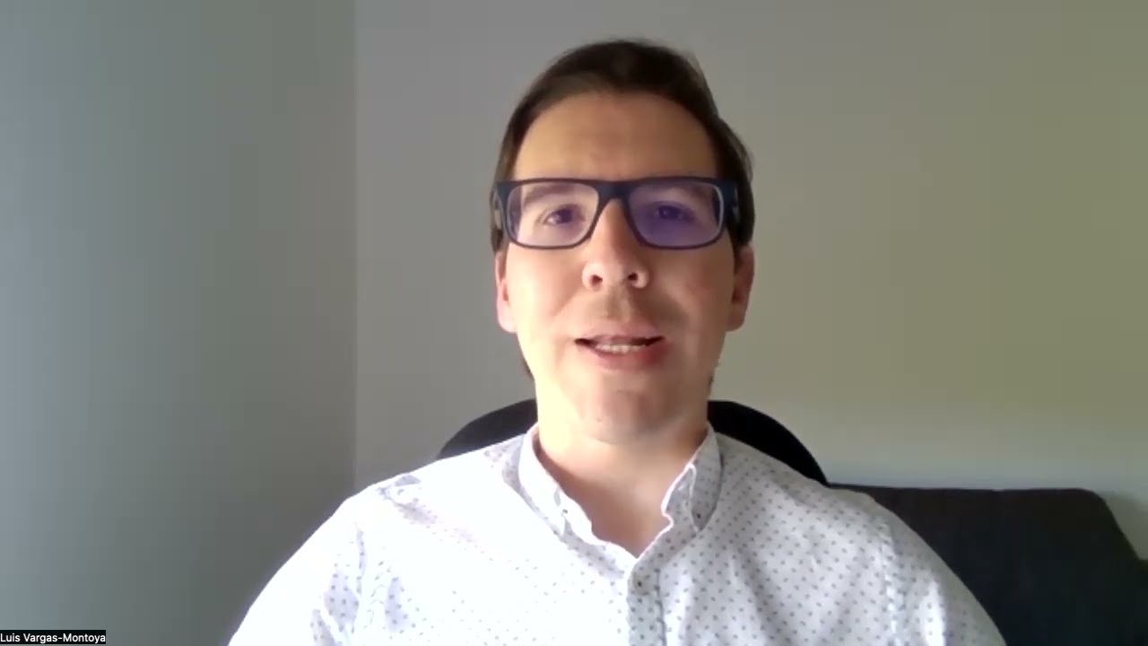 luis vargas, economi