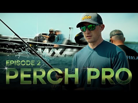 PERCH PRO 10 - Episode 2