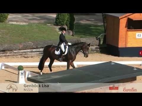 Lisa Genböck & Nizza (sired by Captain Fire) - Stadl-Paura - Sichtung Dressur - Prix St. George