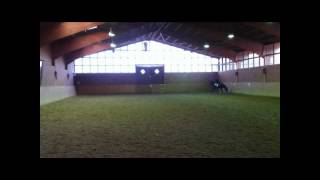 Video koně neznámé