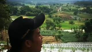 Download lagu STATUS WA LUCU BAHASA SUNDA mp3 Download lagu STATUS WA LUCU BAHASA SUNDA mp3