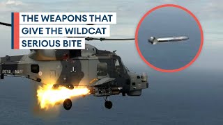 Wildcat and Martlet: The deadly combination forming a ring of steel around warships