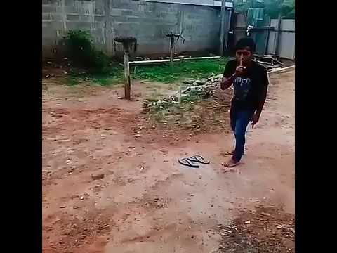 tharindu nuwan's cat joke....