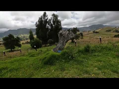 Venta Lote Yerbabuena, Vda. El Hato, Municipio Carmen De Carupa (cun).