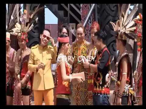 Jinak burung acang iban sarawak