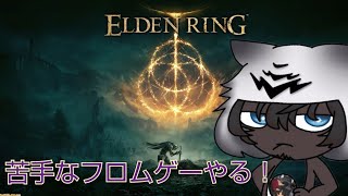 エルデンリング初見プレイ