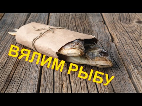 Вяленый лещ  Белозерский . Мой способ посола для вяления рыбы. fresh fish in brine.