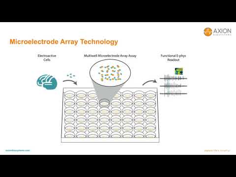 Tracking neural network activity in the B-27™ Plus Neuronal Culture System with a Maestro..