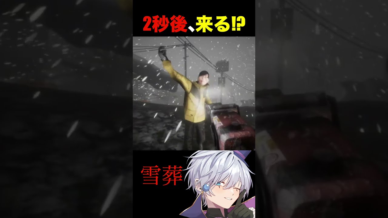 【雪葬】2秒後、見てはいけない現場を目撃します。